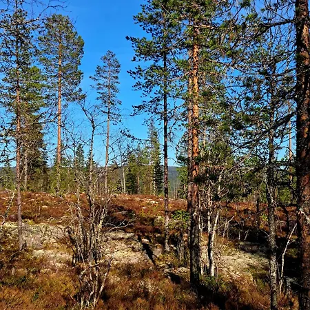 Tatil Evi Ostby Luxury Trysil