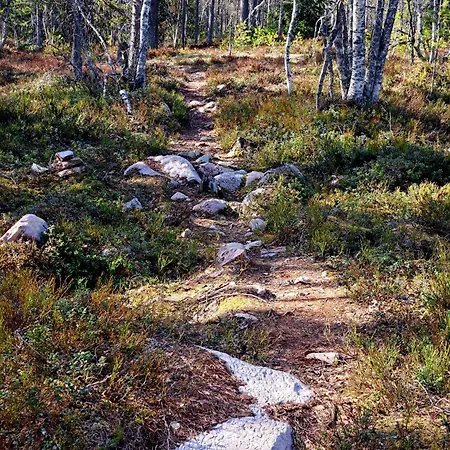 Ostby Luxury Trysil